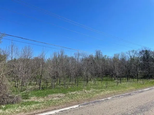 TBD Wealthy Street, Albert Lea, MN 56007 - #1