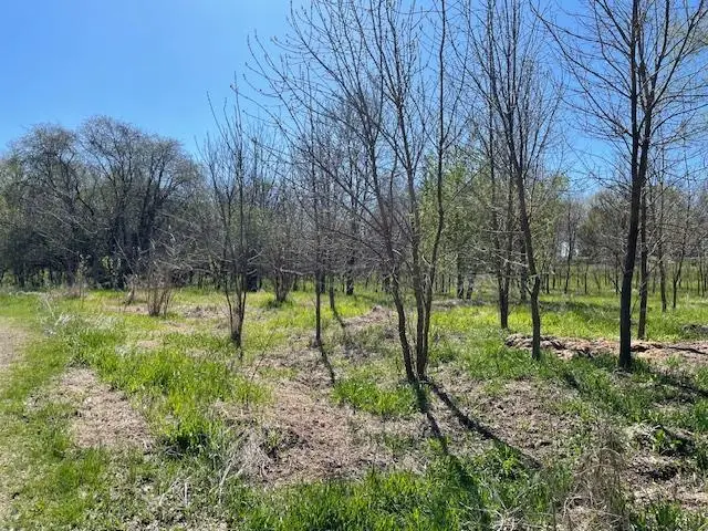 TBD Wealthy Street, Albert Lea, MN 56007 - #3