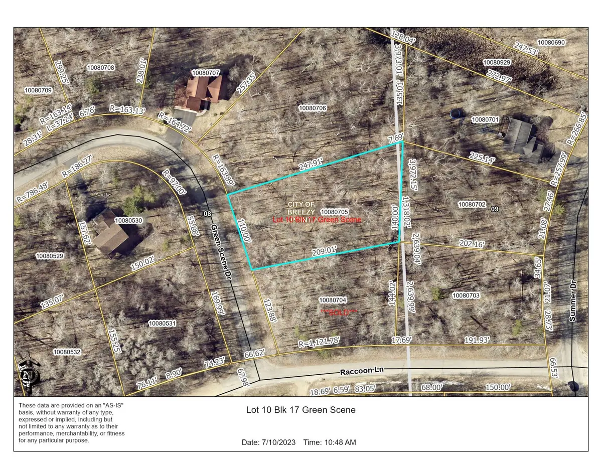 L10 B17 Green Scene Drive, Breezy Point, MN 56472 - #1