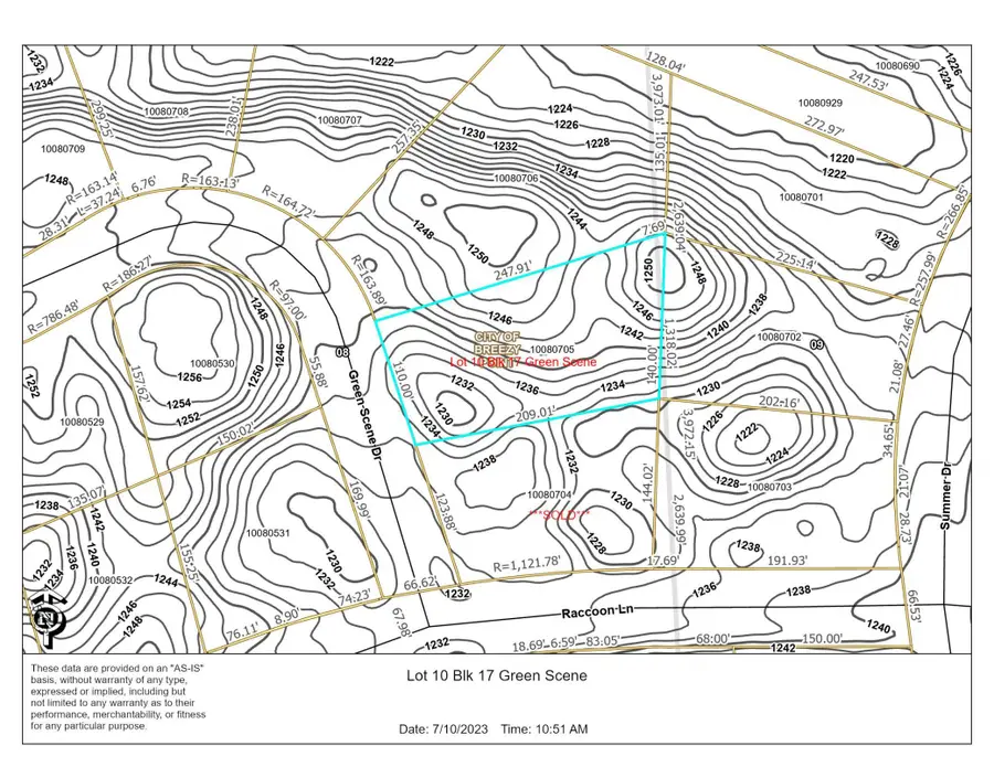 L10 B17 Green Scene Drive, Breezy Point, MN 56472 - #2