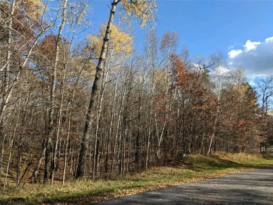 L10 B17 Green Scene Drive, Breezy Point, MN 56472 - #3