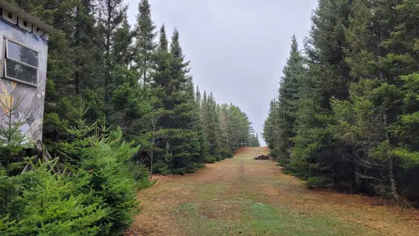 TBD Timber Wolf Trail Sw, Pine River, MN 56435