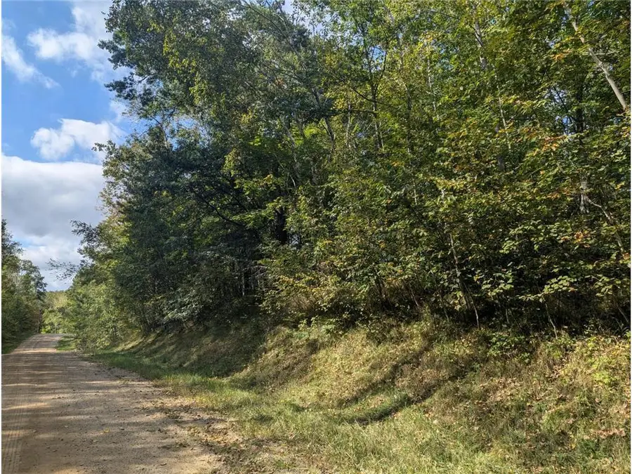 L23 B32 Shady Trail, Breezy Point, MN 56472 - #3