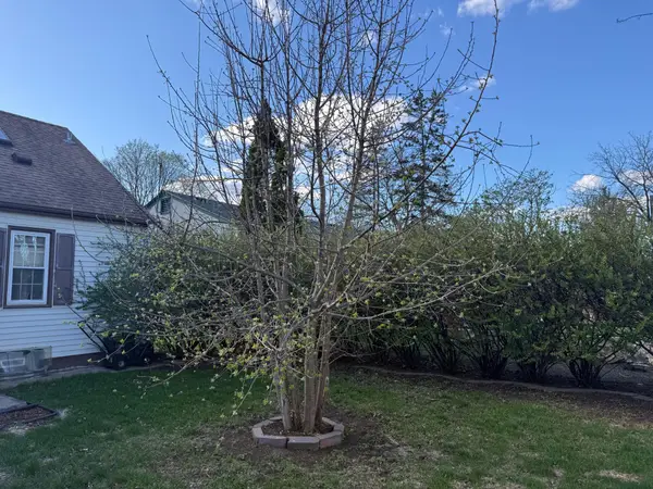 618 13th Avenue N, South Saint Paul, MN 55075