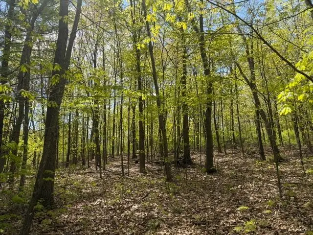 TBD 1st Street, Taylors Falls, MN 55084 - #1