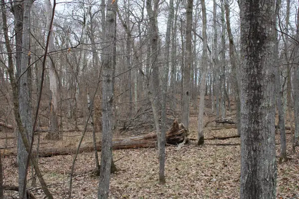 TBD St. Moritz Boulevard, Breezy Point, MN 56472