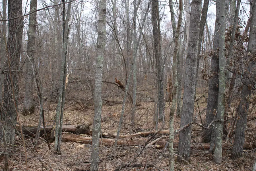 TBD St. Moritz Boulevard, Breezy Point, MN 56472 - #2