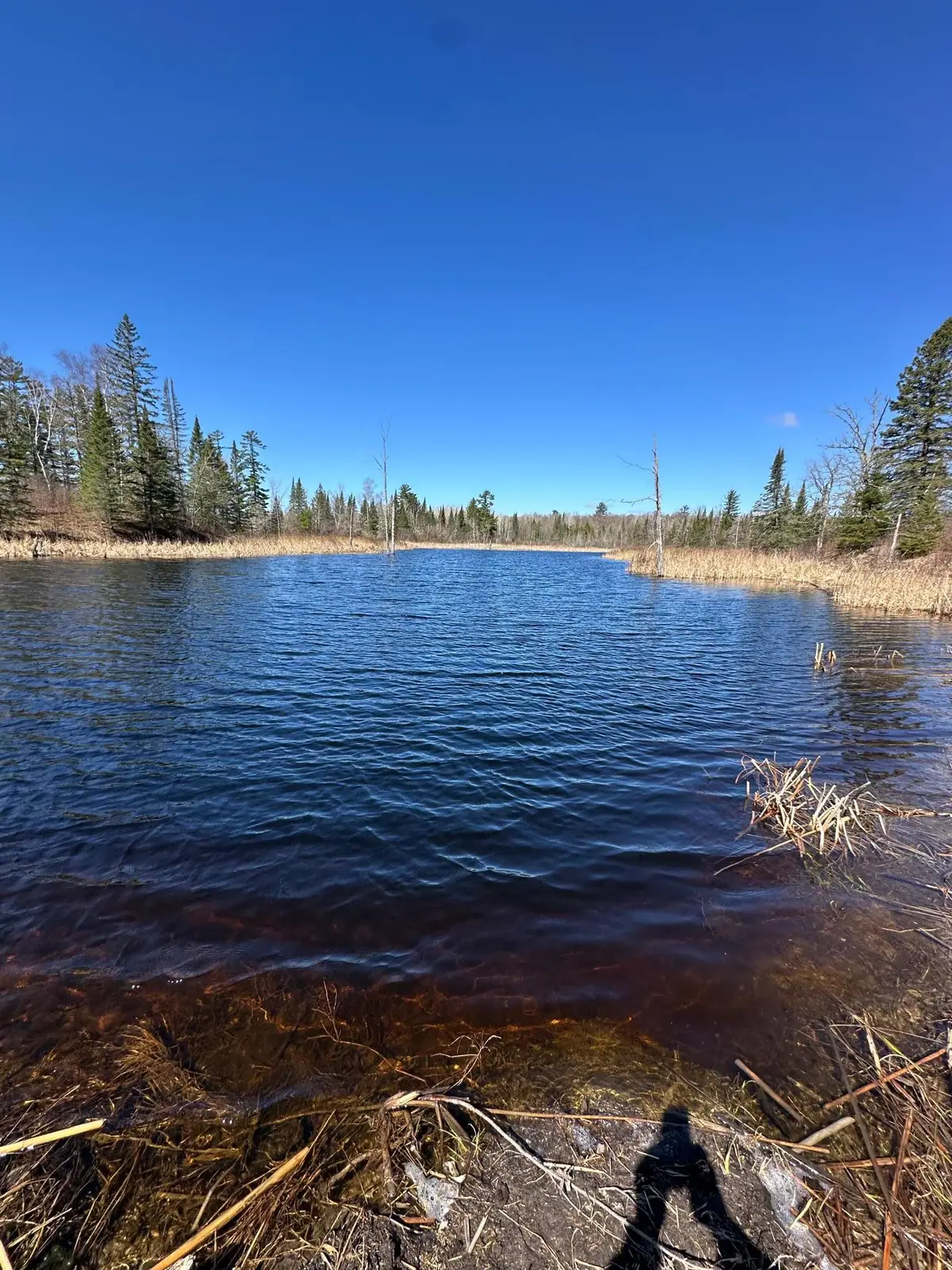 TBD Ct 307, Blackduck, MN 56630 - #1