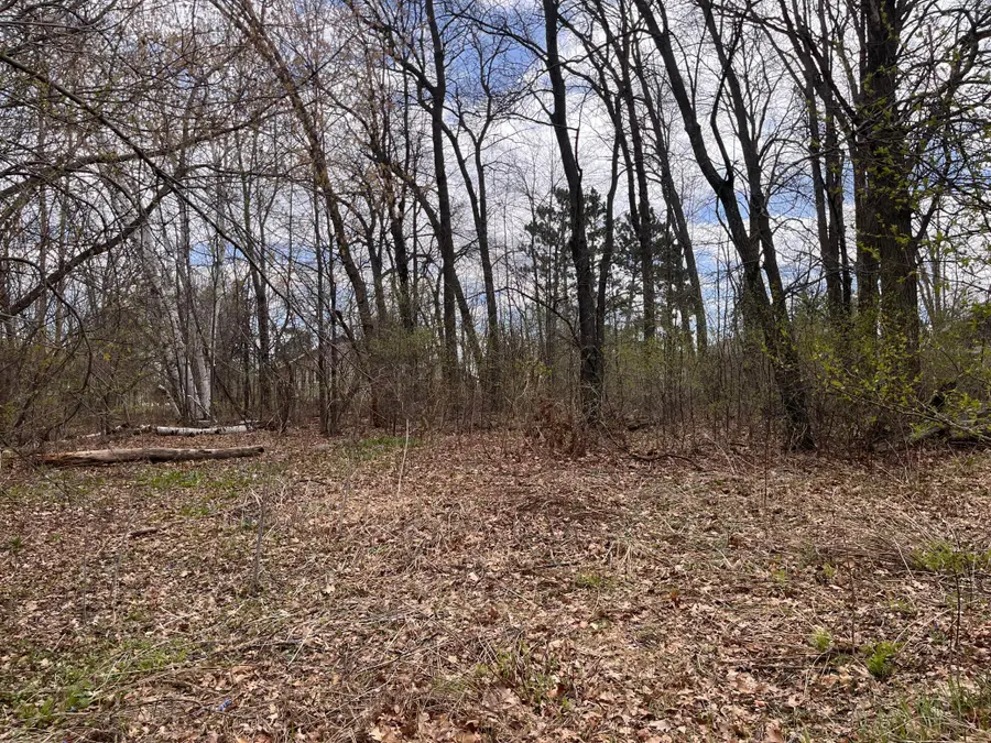 TBD 7th Avenue, Ironton, MN 56455 - #2