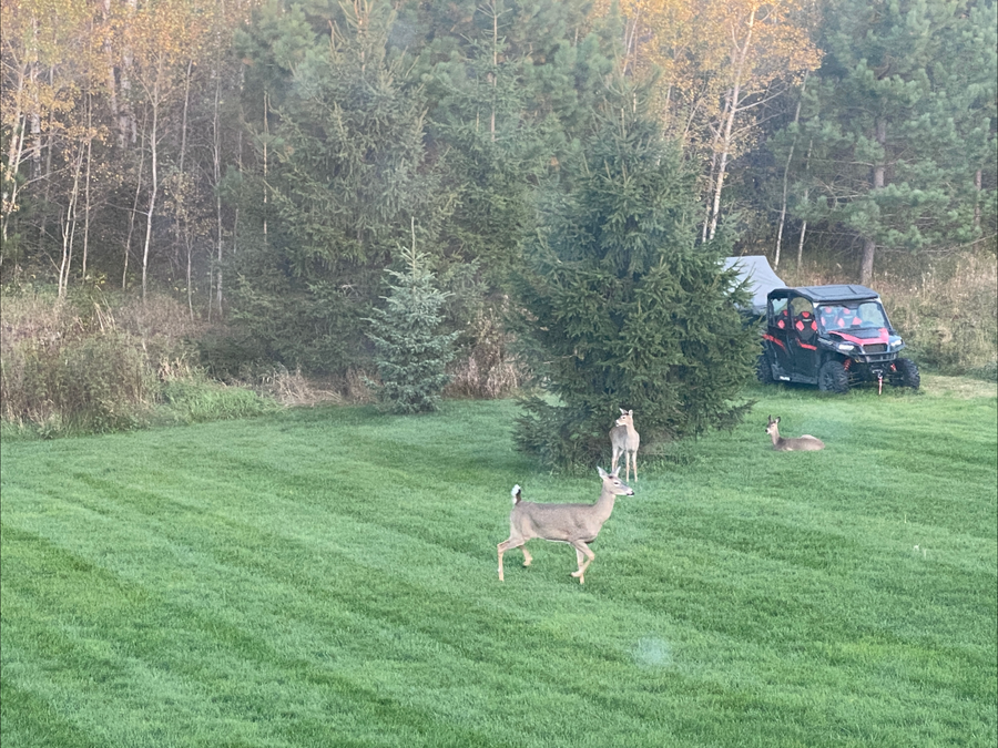 10894 Spring Drive Nw, Bemidji, MN 56601 - #3