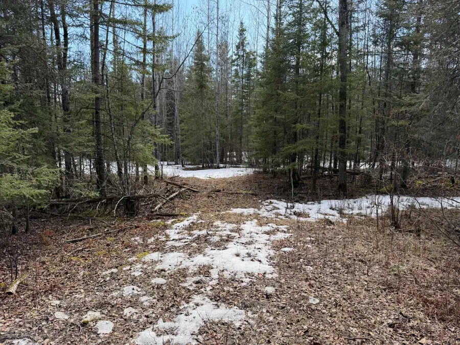 96xx Gappa Road, Kabetogama, MN 56669 - #2