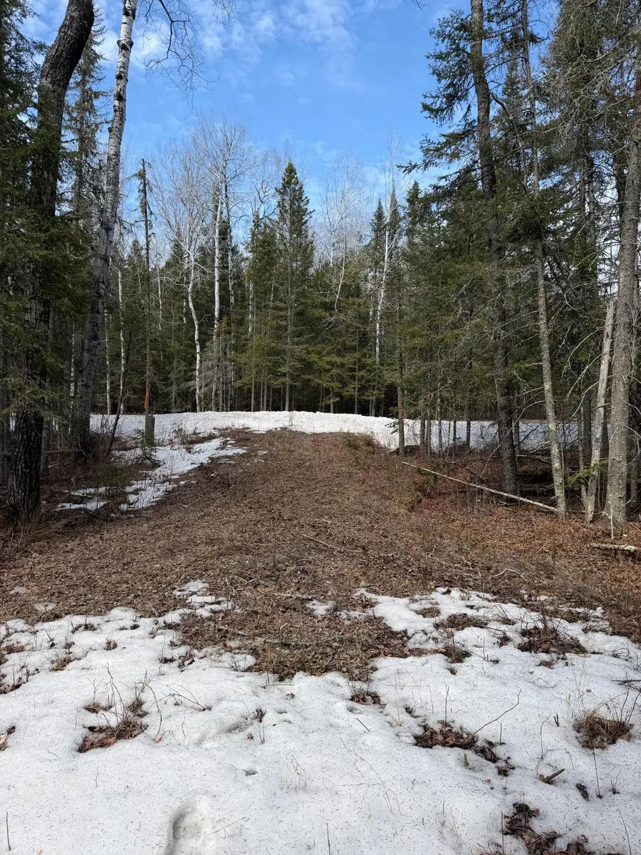 96xx Gappa Road, Kabetogama, MN 56669 - #3