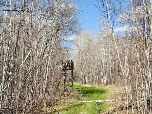 TBD Nature Avenue, Palisade, MN 56469
