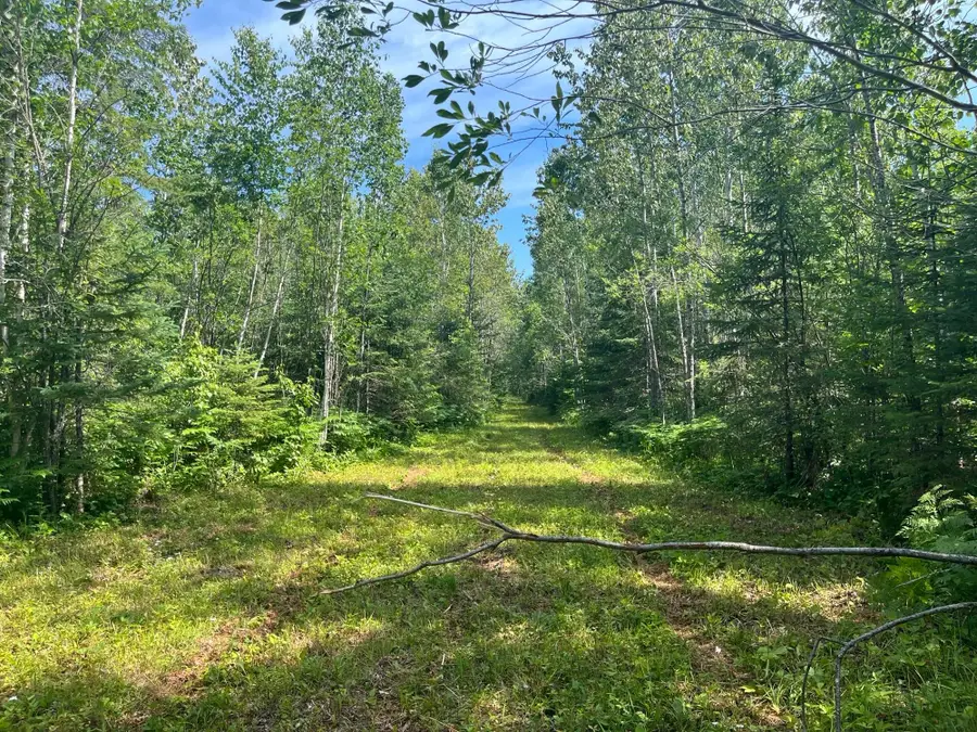 TBD Town Road 118, Birchdale, MN 56629 - #3