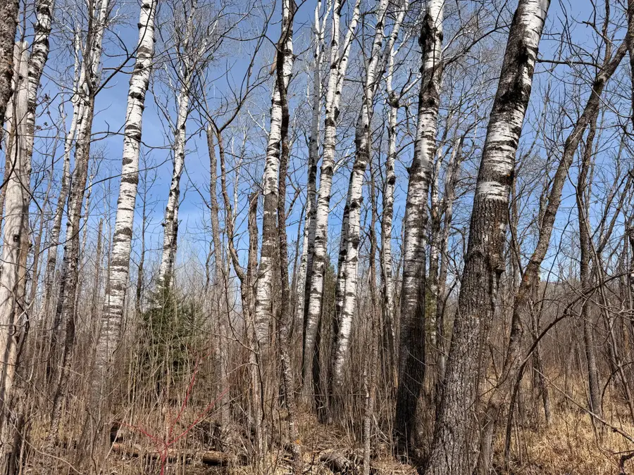 _ _, Steenerson, MN 56727 - #2