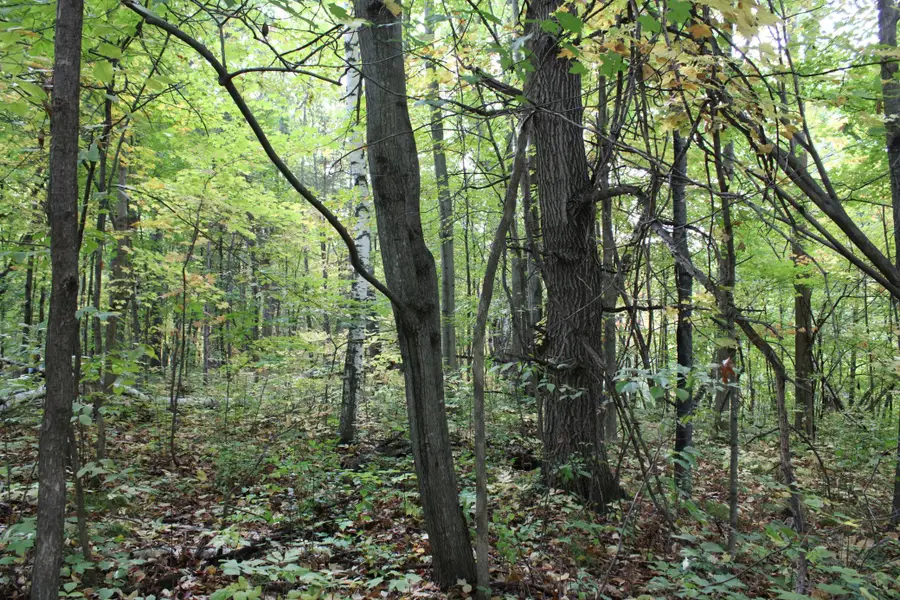 000 St Croix Trail, Taylors Falls, MN 55084 - #2