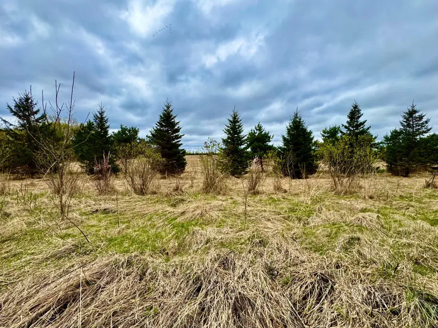 10871 Grand Lake Road, Cold Spring, MN 56320 - #3
