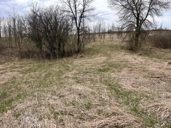 Lot 20 215th Street, Barrett, MN 56311