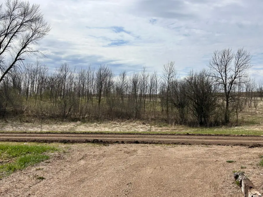 TBD 215th Street, Barrett, MN 56311 - #2