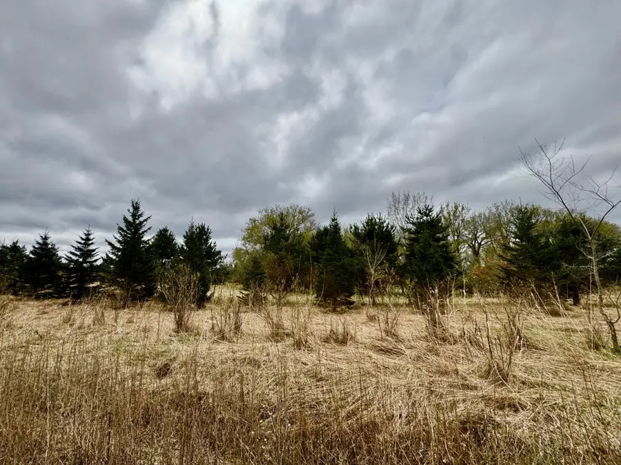 10817 Grand Lake Road, Cold Spring, MN 56320 - #3