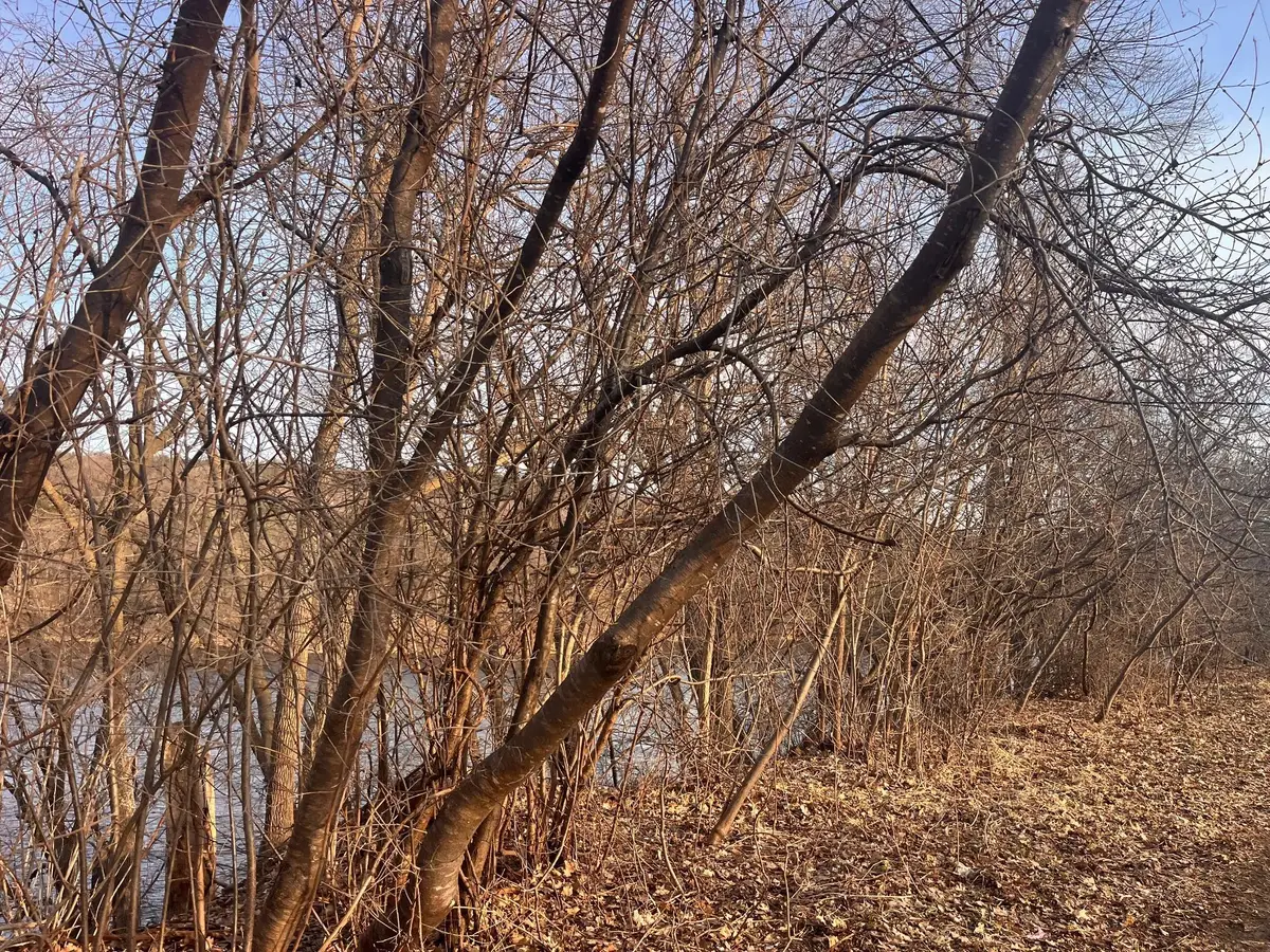 5xx River Street, Taylors Falls, MN 55084 - #1