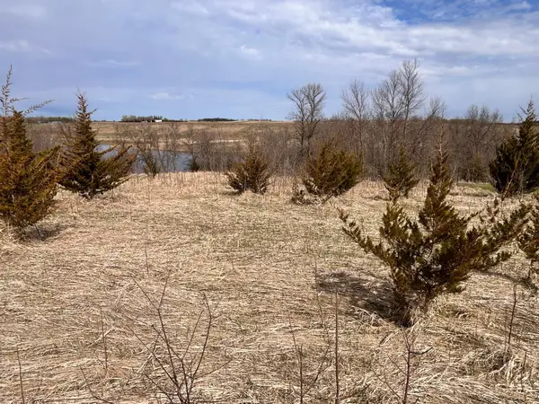 Lot 6 215th Street, Barrett, MN 56311