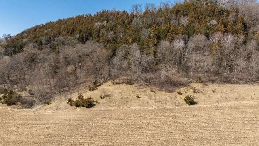 TBD Semling Lane, Fountain City, WI 54629 - #2