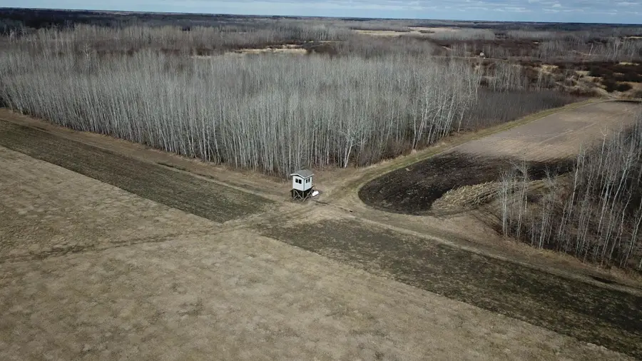 TBD 480th Ave, Grygla, MN 56727 - #2