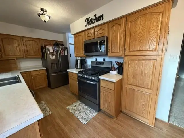 608 S Donnelly Avenue, Litchfield, MN 55355 - #3