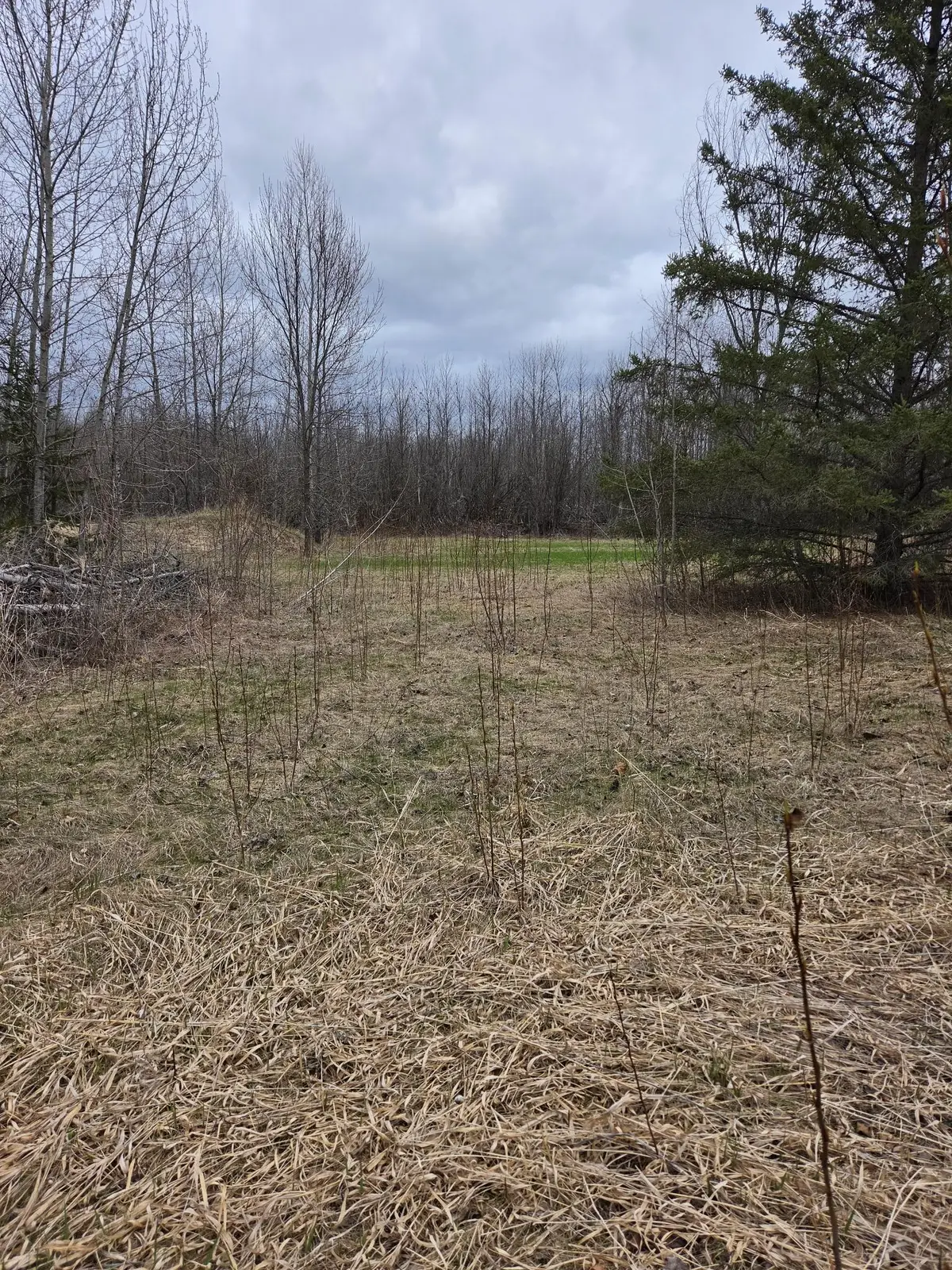 TBD Lampi Road, Cohasset, MN 55721 - #1
