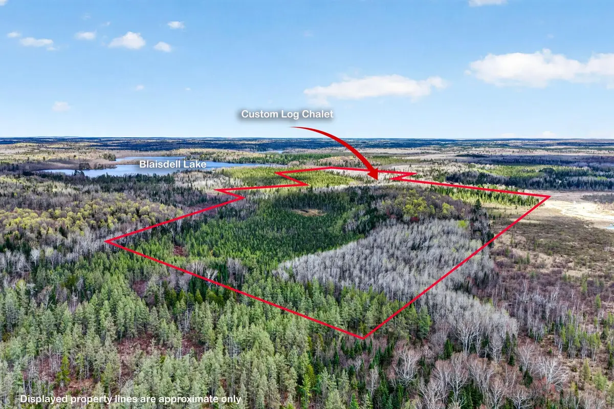 8225 N Blaisdell Lake Road, Winter, WI 54896 - #1