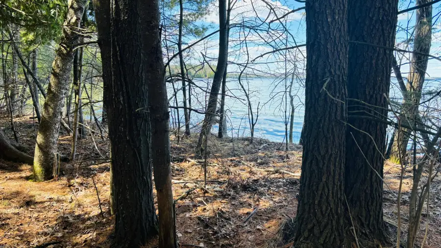 TBD County 37, Laporte, MN 56461 - #2