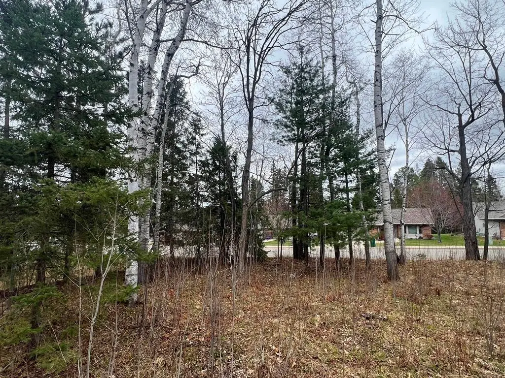 TBD 3rd Avenue Sw, Grand Rapids, MN 55744 - #1