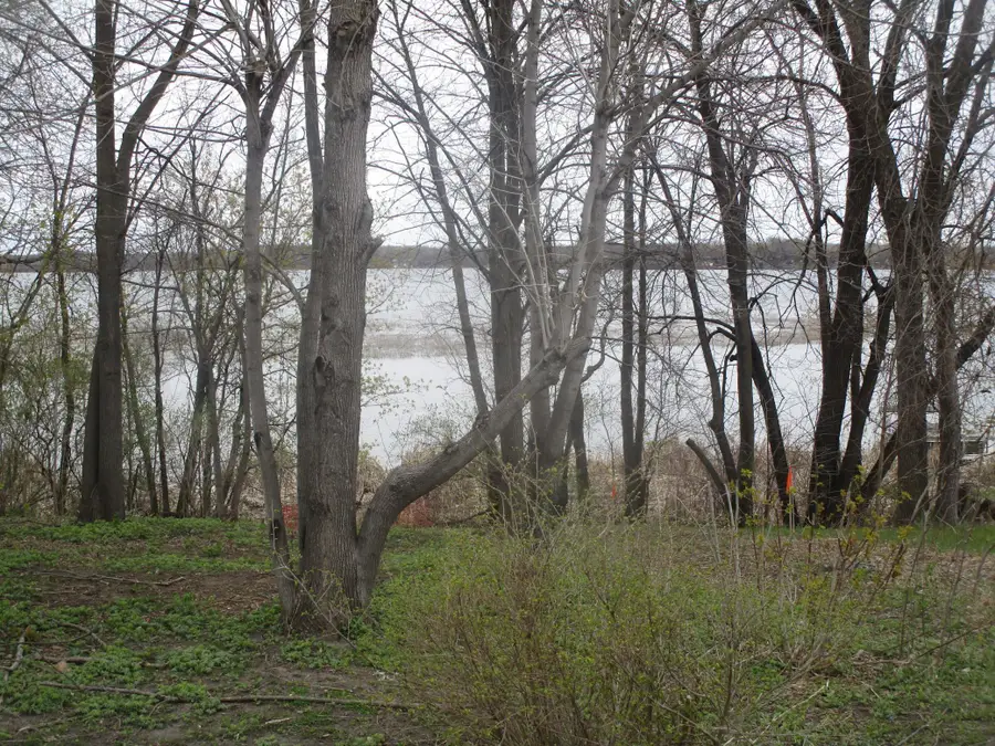15684 County Road 102 Ne, Parkers Prairie, MN 56361 - #2