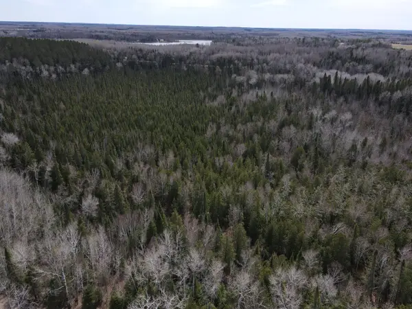 TBD Co Rd 40, Effie, MN 56639