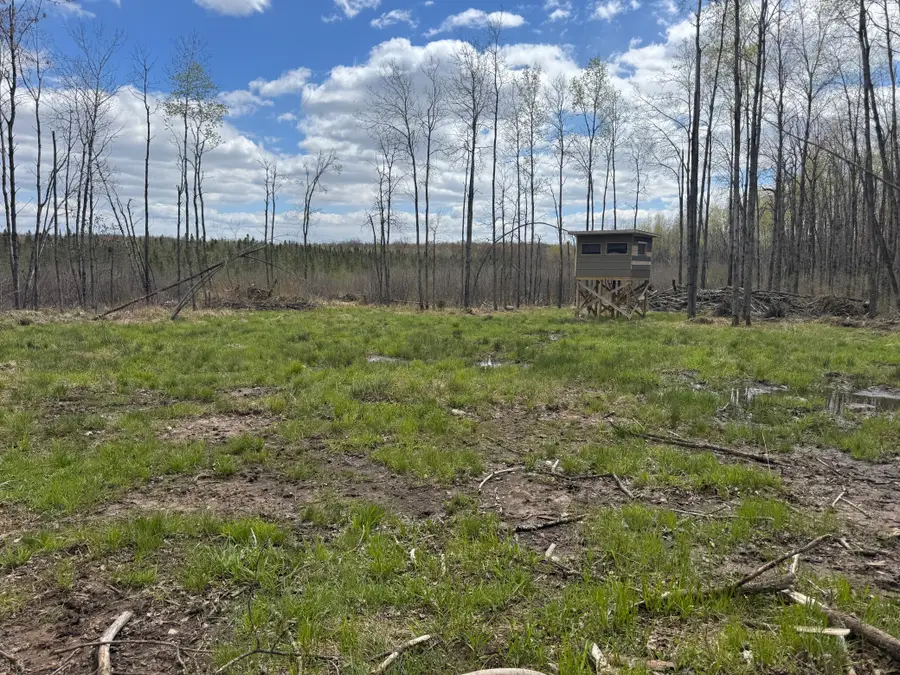 N8236 Godfrey Road, Ladysmith, WI 54848 - #3