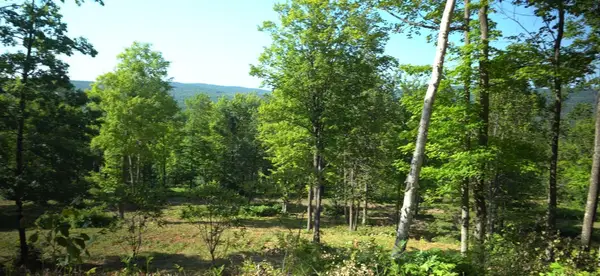 83xxx - Lot 12 Ashwabay Road, Bayfield, WI 54814