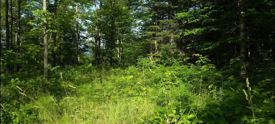 83xxx - Lot 12 Ashwabay Road, Bayfield, WI 54814 - #3