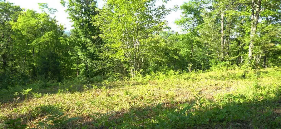 83xxx - Lot 13 Ashwabay Road, Bayfield, WI 54814 - #2