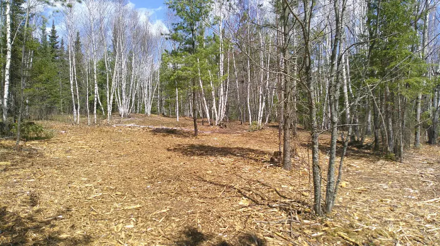 TBD Parcel I Frazer Bay Road, Cook, MN 55723 - #3