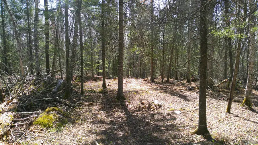 Parcel W Tbd Frazer Bay Road, Cook, MN 55723 - #2
