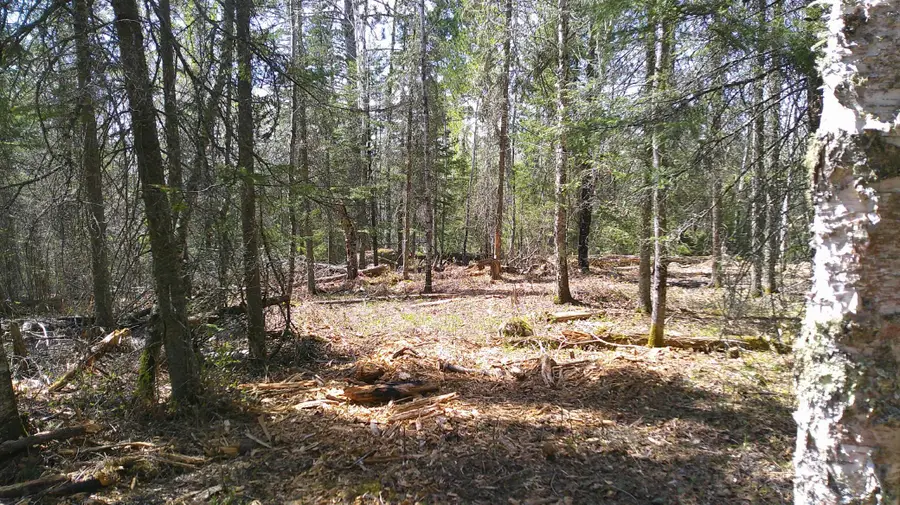 Parcel W Tbd Frazer Bay Road, Cook, MN 55723 - #3