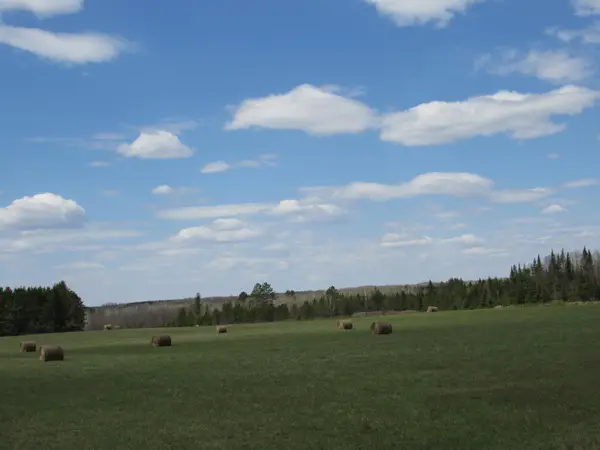 TBD Farm To Market, Sturgeon Lake, MN 55783