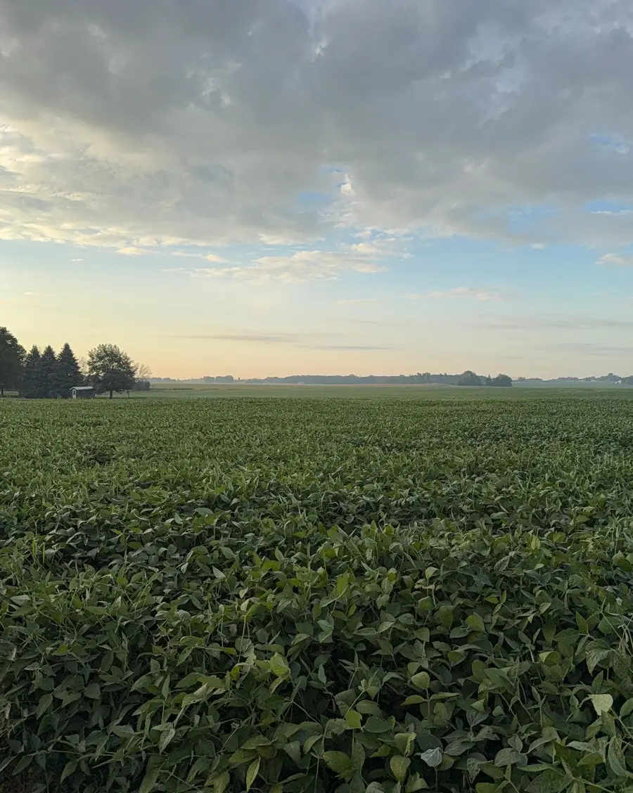 TBD 265th Avenue, Belle Plaine, MN 56011 - #3