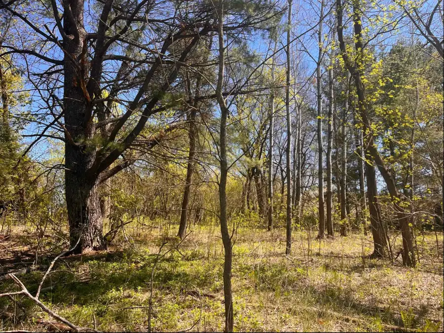 23xx River Road, Saint Croix Falls, WI 54024 - #3
