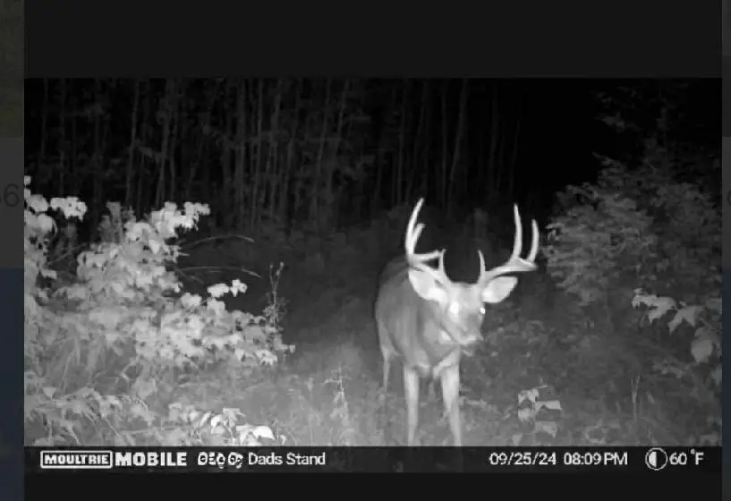 TBD Us Hwy 2, Bagley, MN 56621 - #2