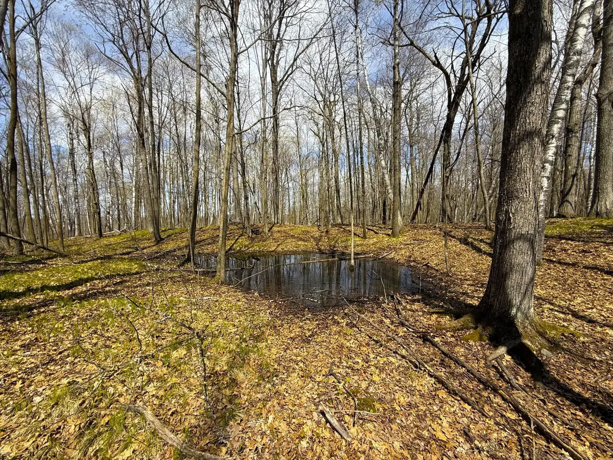 XXX Mcgrew Rd, Isle, MN 56342 - #1