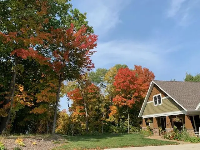 21945 County 38, Long Prairie, MN 56347 - #2