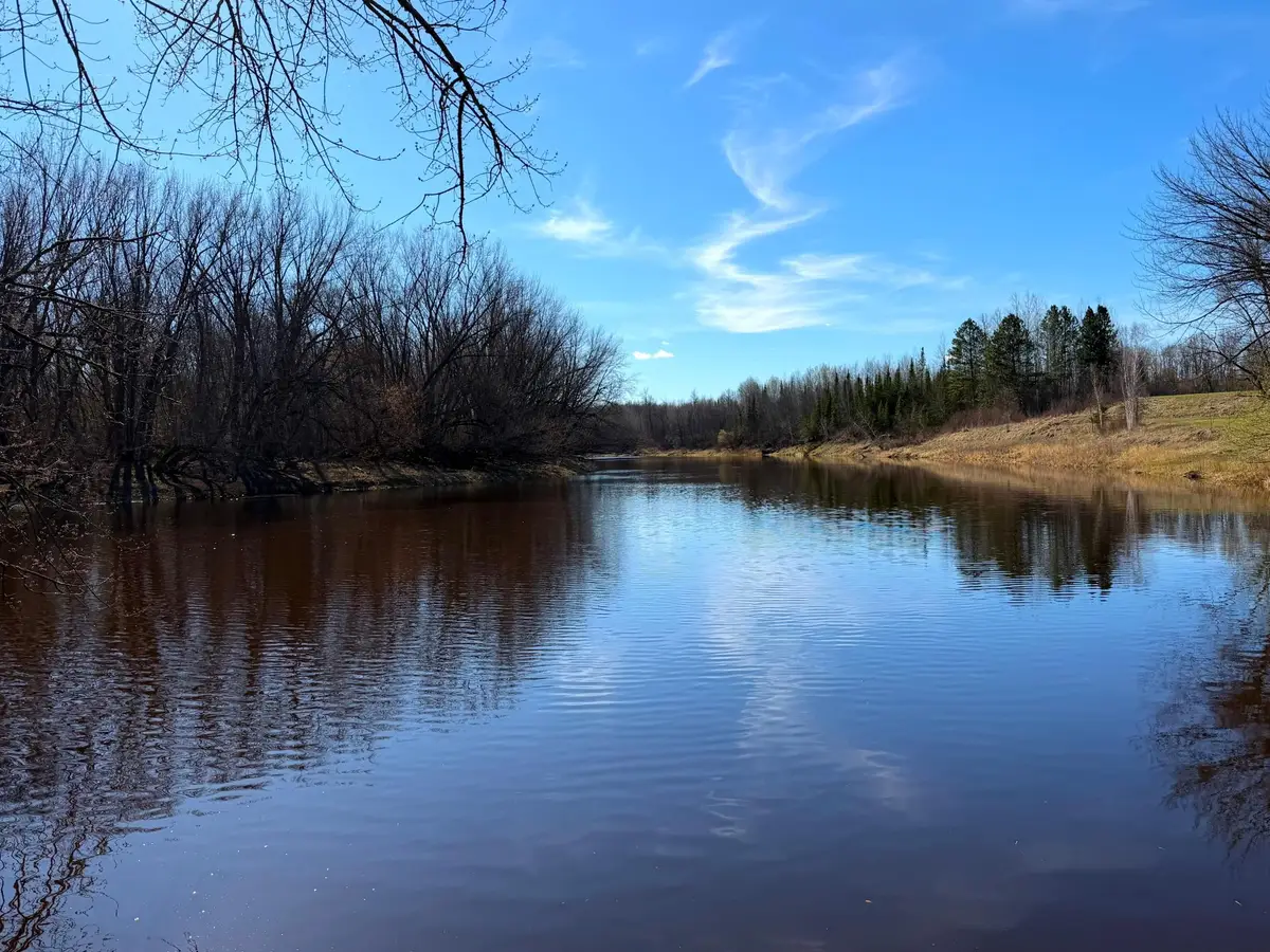 Lot E County Road 79, Littlefork, MN 56653 - #1