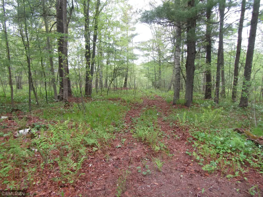 15442 Lofty Pines Road, Pine City, MN 55063 - #2